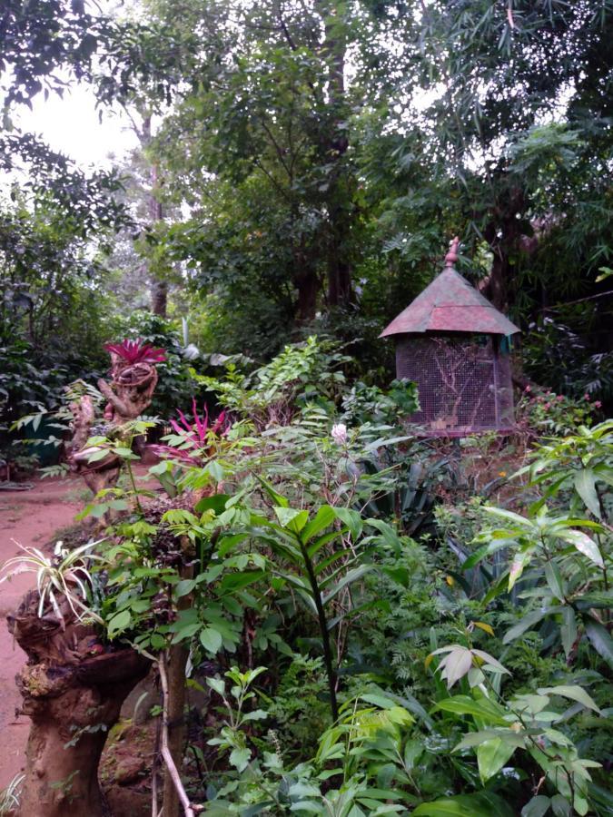 Koomankolly Resort Thirunelly Exterior photo