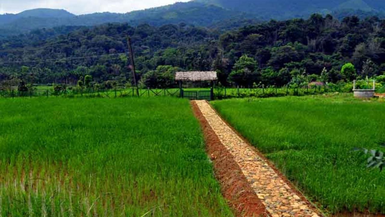 Koomankolly Resort Thirunelly Exterior photo